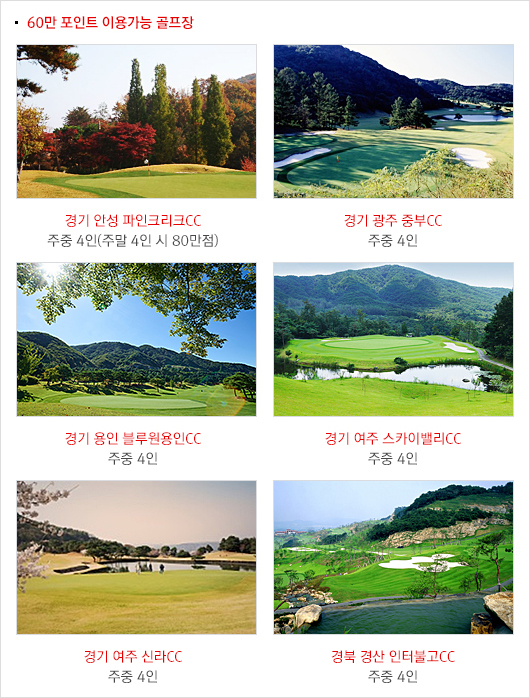 60만 포인트 이용가능 골프장 내용