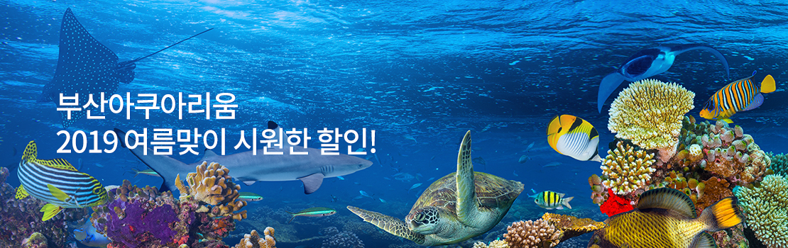 부산아쿠아리움 2019 여름맞이 시원한 할인!