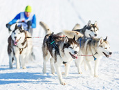 알래스카 전경2