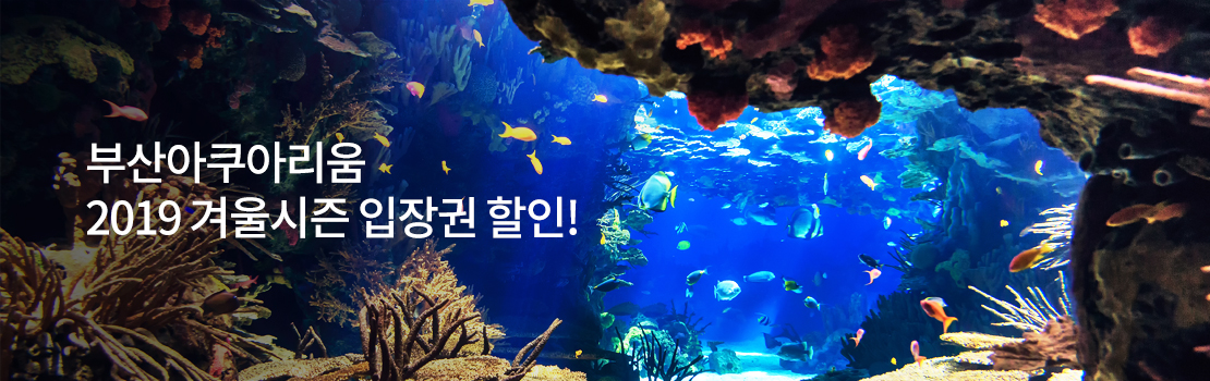 문화/여가 | 부산아쿠아리움 2019 겨울시즌 입장권 할인!