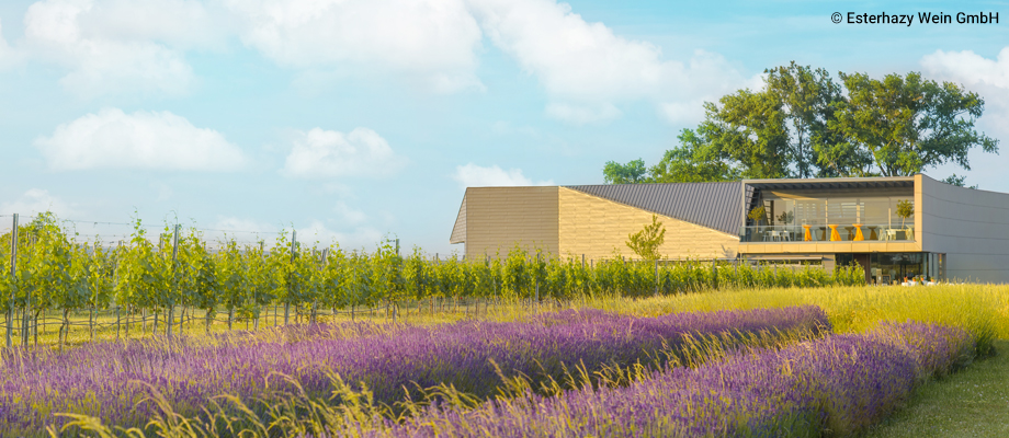 에스터하지 와이너리