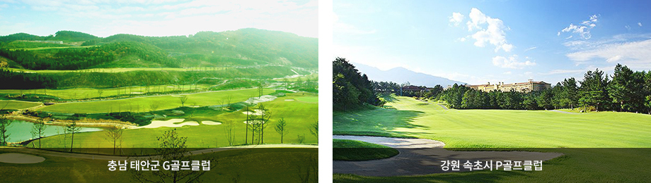 아래에 이미지를 설명합니다.