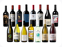 CU 인기 와인 15종