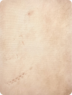 Skin, 김한비, 2023