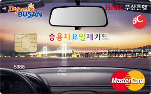 승용차 요일제 카드